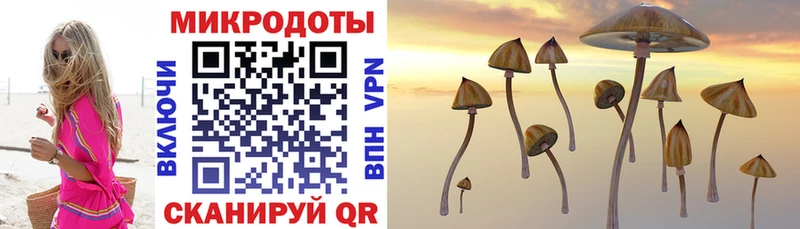 MEGA сайт  Нижний Ломов  Галлюциногенные грибы MAGIC MUSHROOMS 